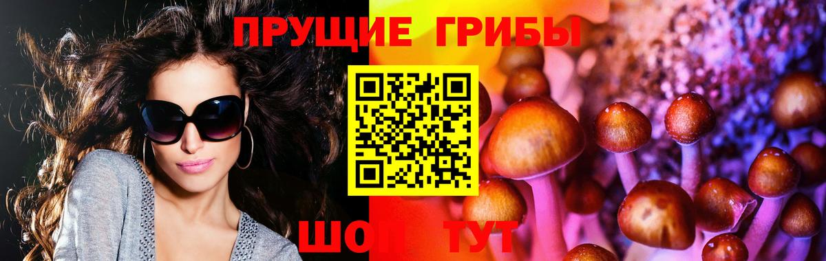 Псилоцибиновые грибы мицелий Глазов